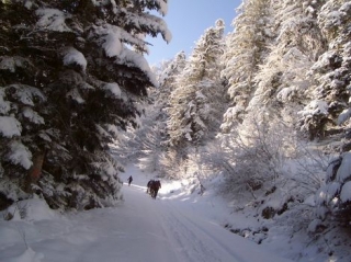  适合优秀滑雪者的滑雪徒步旅行